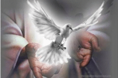 MEDITACIÓN DIARIA: Enviare al Espíritu Santo… | Noticias ...